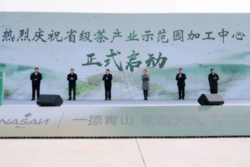 一捺青山茶韵浓，品牌升级焕新生
