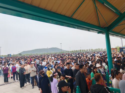 2025扬州世博园国际稻草艺术节盛大启幕，人气爆棚！