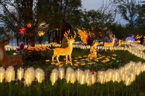 七夕相约扬州世博园，无人机焰火秀点亮浪漫夜空